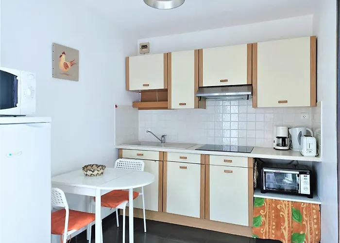 T1 Lumineux Avec Terrasse Et Parking Prive A - Fr-1-555-70 * Aix-les-Bains