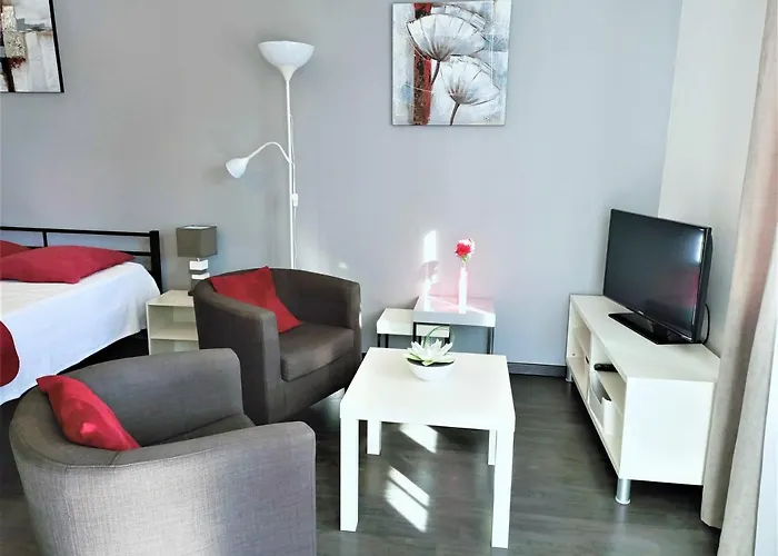 Appartement T1 Lumineux Avec Terrasse Et Parking Prive A - Fr-1-555-70 *